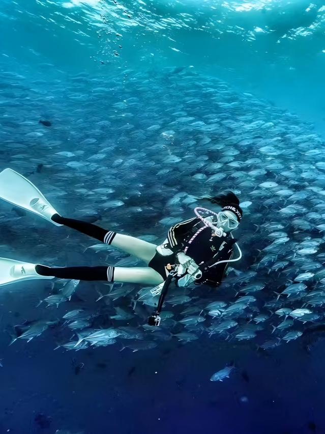Ivy diving